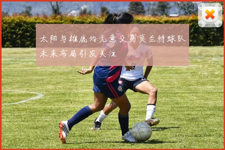 太阳与雄鹿均无意交易莫兰特球队未来布局引发关注