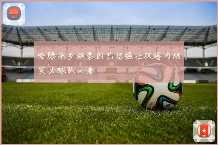 哈滕老乡施泰因巴赫强壮双塔内线实力球队必看